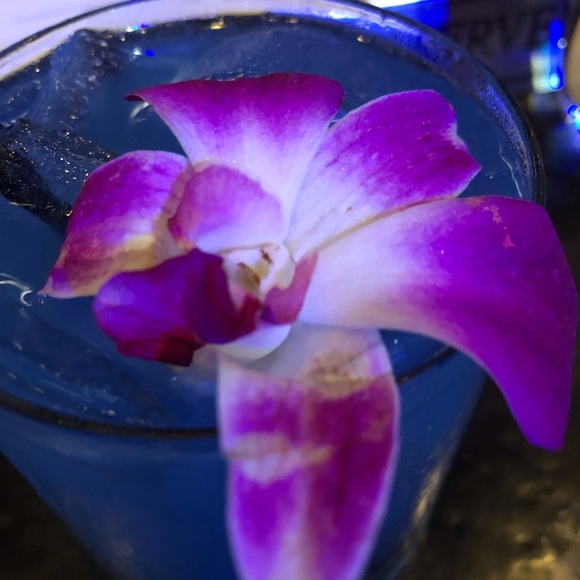 Meet your Posher, Amy - Picture 8 of 8